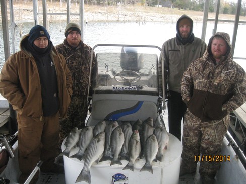 Nice Striped Bass